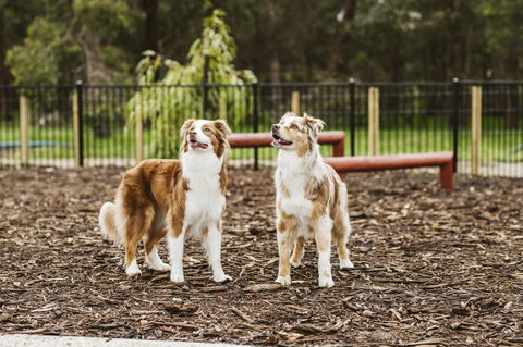 Banksia Tourist Park - Accommodation Melbourne 16