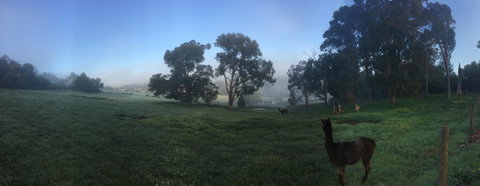 Tegwan's Nest Holiday Home - Accommodation Melbourne 20