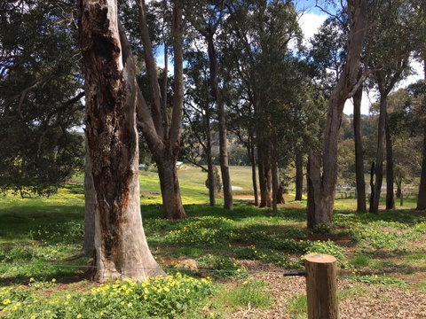Tegwan's Nest Holiday Home - Accommodation Melbourne 28