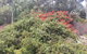 Tegwan's Nest Holiday Home - thumb 42