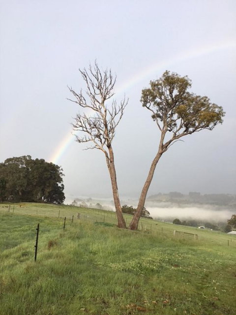 Tegwan's Nest Holiday Home - Accommodation Melbourne 13