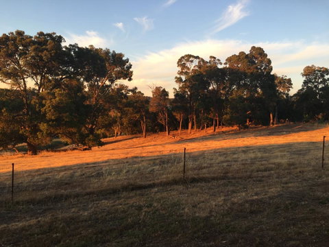 Tegwan's Nest Holiday Home - Accommodation Melbourne 18