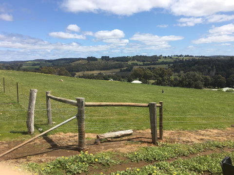 Tegwan's Nest Holiday Home - Accommodation Melbourne 39