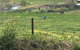 Tegwan's Nest Holiday Home - thumb 37