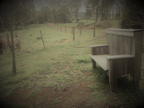 Tegwan's Nest Holiday Home - Accommodation Melbourne 43