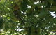 Tegwan's Nest Holiday Home - thumb 22