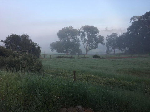Tegwan's Nest Holiday Home - Accommodation Melbourne 29