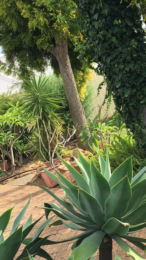 Armadale Cottage Bed & Breakfast - Accommodation Melbourne 1