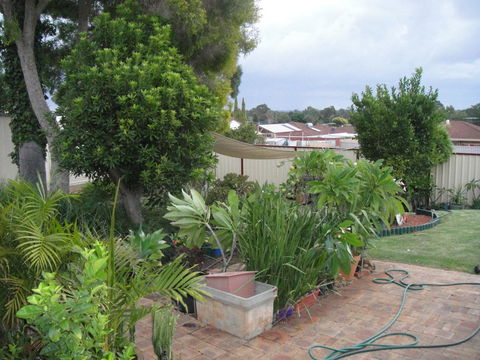Armadale Cottage Bed & Breakfast - Accommodation Melbourne 39