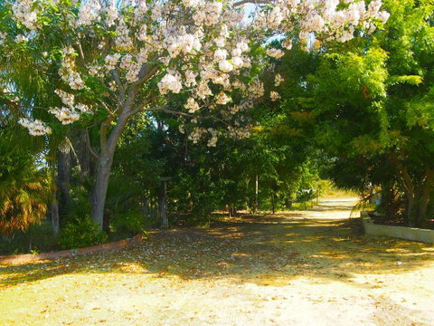Majestichomestead B&B - Accommodation Melbourne 33