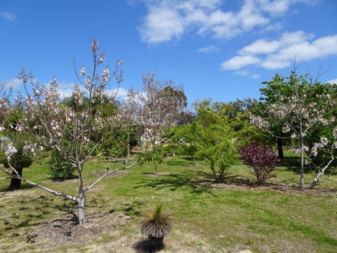 Majestichomestead B&B - Accommodation Melbourne 27