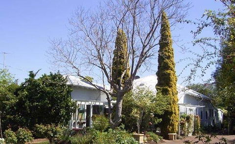 Jacaranda Guest House - Accommodation Melbourne 37