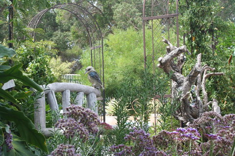 Rosebridge House Bed & Breakfast Adult Retreat - Accommodation Melbourne 12