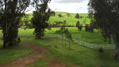 Daisy Cottage - Accommodation Melbourne 22