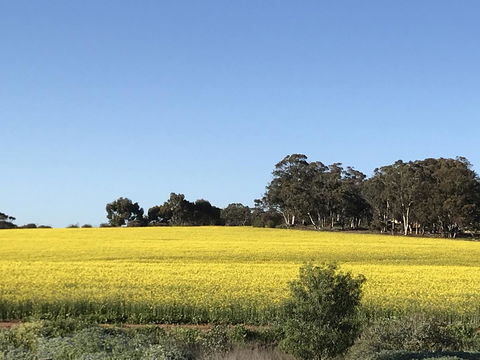 Daisy Cottage - Accommodation Melbourne 6