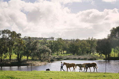 Daisy Cottage - Accommodation Melbourne 28
