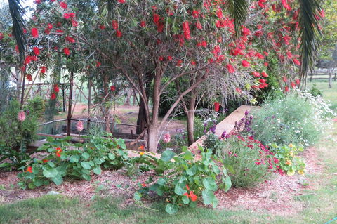 Bentwood Olive Grove Accommodation - Melbourne 4u 21