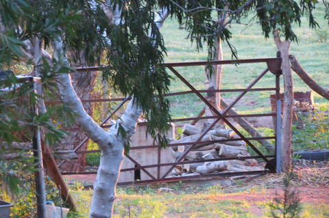 Bentwood Olive Grove Accommodation - Melbourne 4u 25