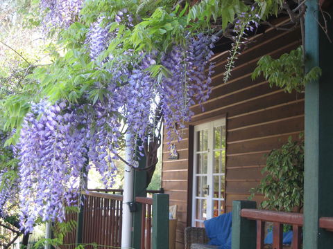 RoseMoore Bed & Breakfast - Melbourne 4u 11