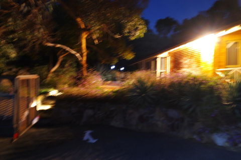 Eleebana Guest House - Accommodation Melbourne 34