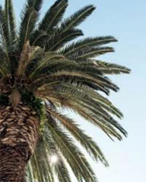 Best Western Plus Hotel Lord Forrest - Accommodation Melbourne 8