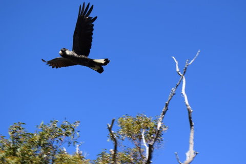 Eagle Bay House - Accommodation Melbourne 8