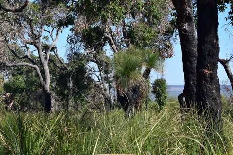 Eagle Bay House - Accommodation Melbourne 32