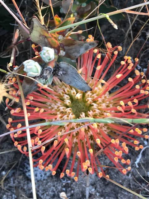 The Mains Guest House 2 Bedroom Farm Stay - Accommodation Melbourne 18