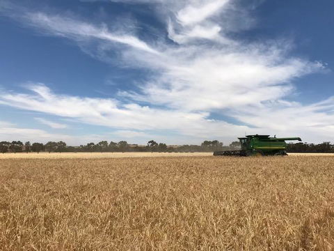 The Mains Guest House 2 Bedroom Farm Stay - Accommodation Melbourne 17