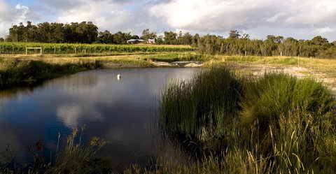 SilverSprings Spa Retreat Pet Friendly Cottages And Glampings - Accommodation Melbourne 2