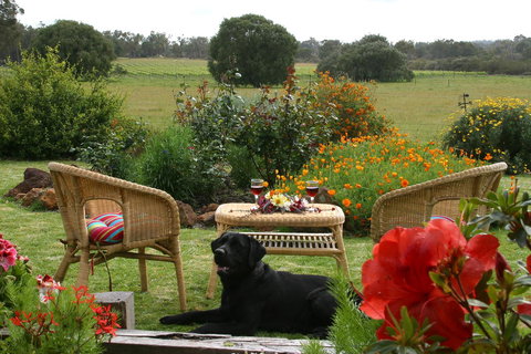 SilverSprings Spa Retreat Pet Friendly Cottages And Glampings - Accommodation Melbourne 0