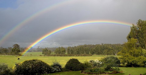 SilverSprings Spa Retreat Pet Friendly Cottages And Glampings - Accommodation Melbourne 19