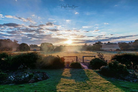 SilverSprings Spa Retreat Pet Friendly Cottages And Glampings - Accommodation Melbourne 26