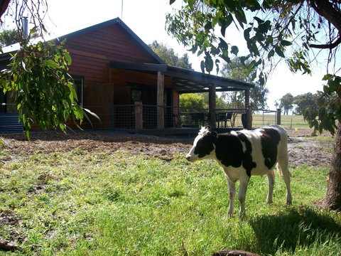 SilverSprings Spa Retreat Pet Friendly Cottages And Glampings - Accommodation Melbourne 23