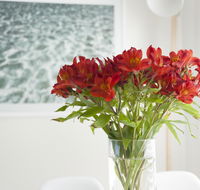 On The Beach Waterfront Apartment - Accommodation Melbourne