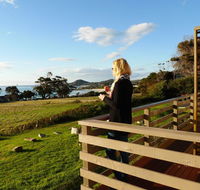 Beachend Bicheno - Accommodation Melbourne