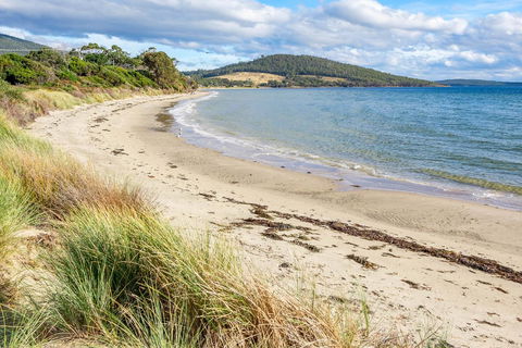 Omaroo Cottage Bruny Island - Accommodation Melbourne 14