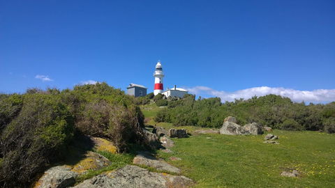 BIG4 Low Head Tourist Park - Accommodation Melbourne 6