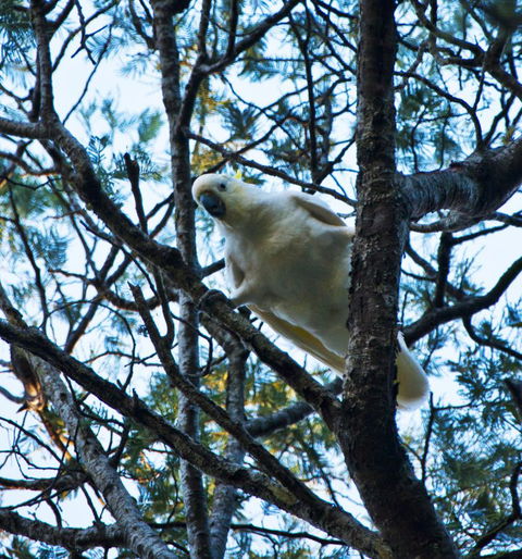 Tyenna River Cottages - Accommodation Melbourne 4