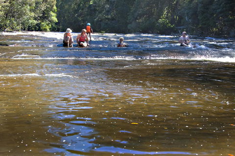 Tyenna River Cottages - Accommodation Melbourne 9