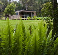 Tyenna River Cottage - Accommodation Melbourne