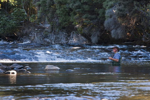 Tyenna River Cottages - Accommodation Melbourne 21