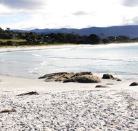 Mermaids of Bicheno - Accommodation Melbourne