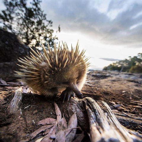 Maydena Chalet - Accommodation Melbourne 38