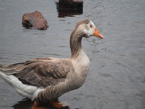 Maydena Chalet - Accommodation Melbourne 39