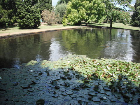 Maydena Chalet - Accommodation Melbourne 23