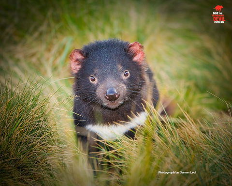 Maydena Chalet - Accommodation Melbourne 34