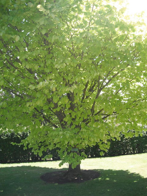 Maydena Chalet - Accommodation Melbourne 32