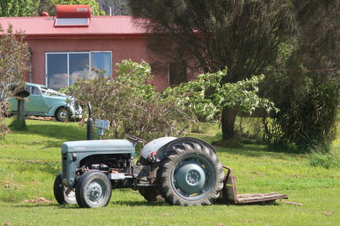 Cherry Top Farmstay - Boutique Eco Village - Accommodation Melbourne 25