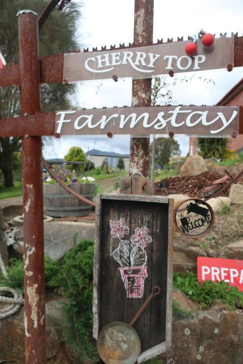 Cherry Top Farmstay - Boutique Eco Village - Accommodation Melbourne 5